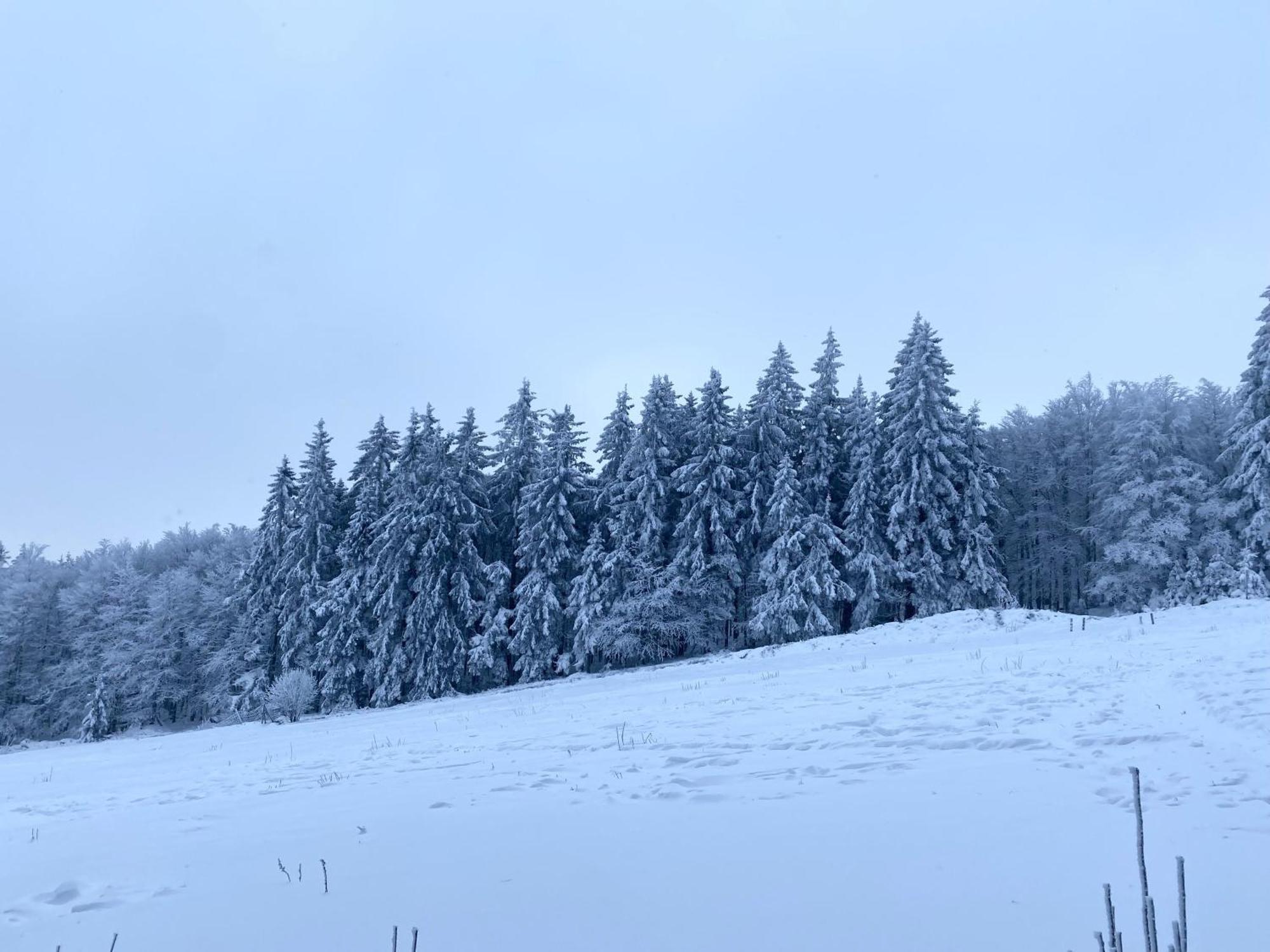 Le Chalet Du Hohwald Exteriör bild